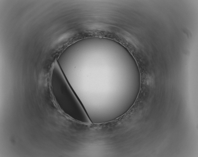 X0000114020965200910161753