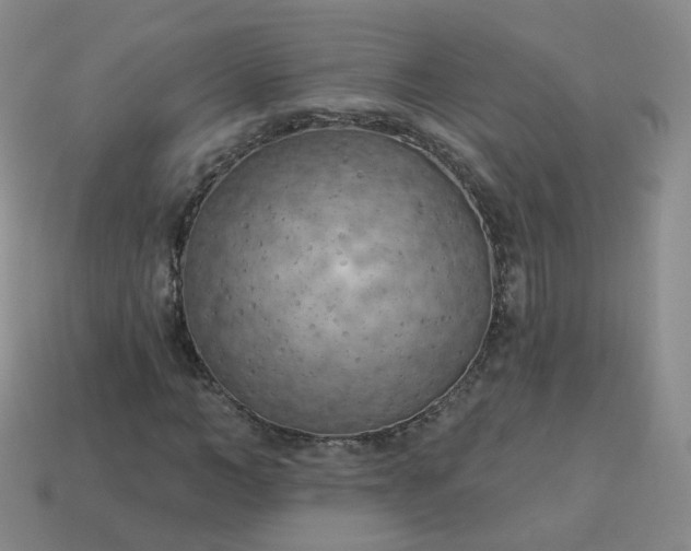 X0000114020966200910161753