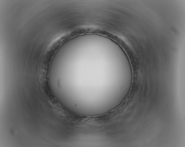 X0000114020967200910161753