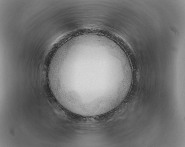 X0000114020968200910161753