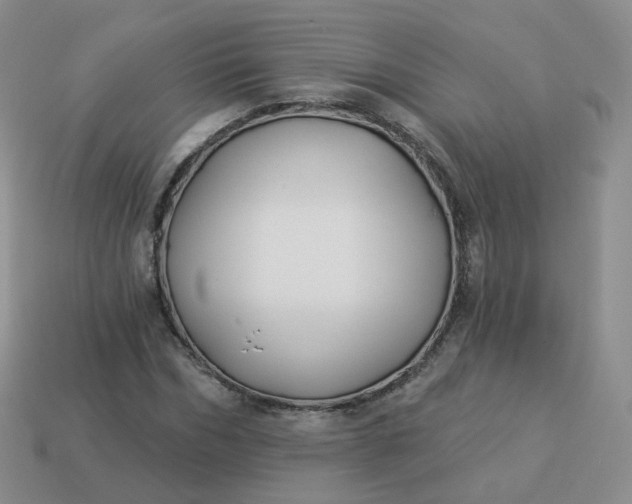 X0000114020970200910161753