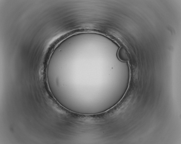 X0000114020971200910161753