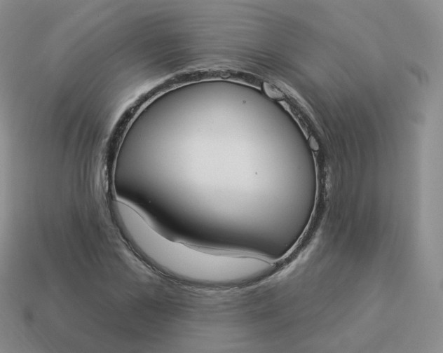 X0000114020973200910161753