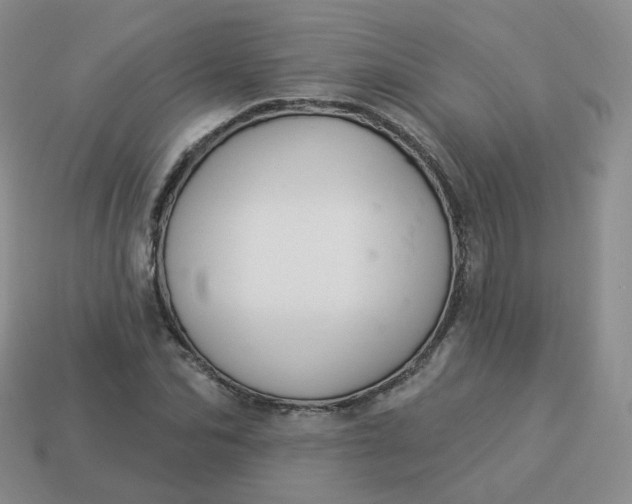 X0000114020974200910161753