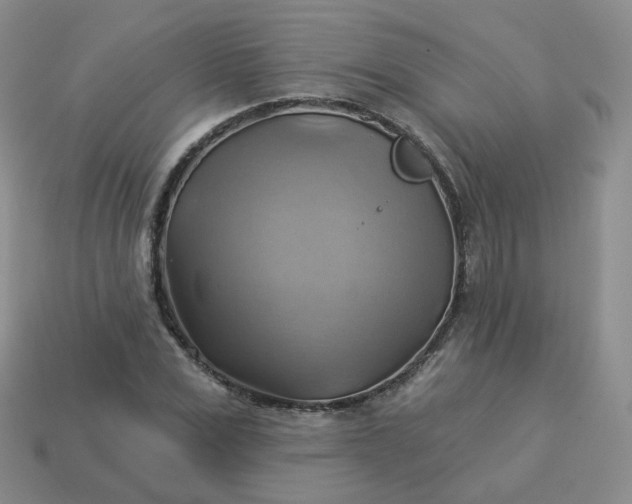 X0000114020975200910161753