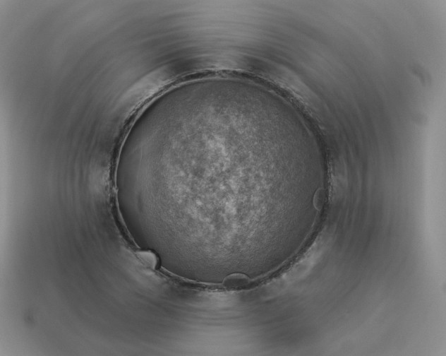 X0000114020977200910161753