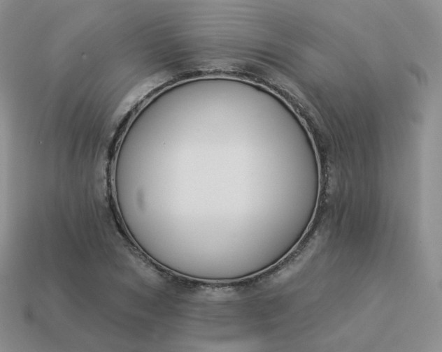 X0000114020978200910161753