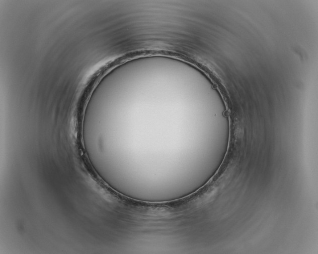 X0000114020979200910161752