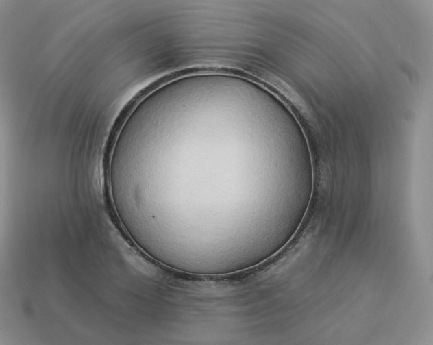 X0000114020980200910161752