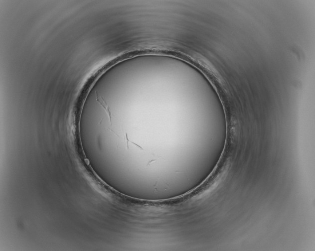 X0000114020981200910161752