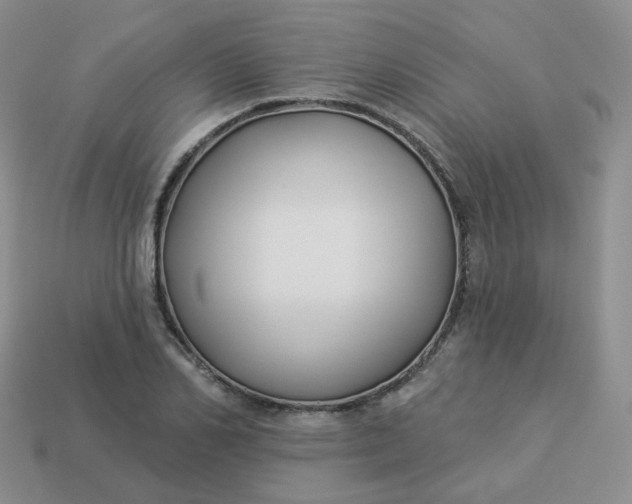 X0000114020982200910161752