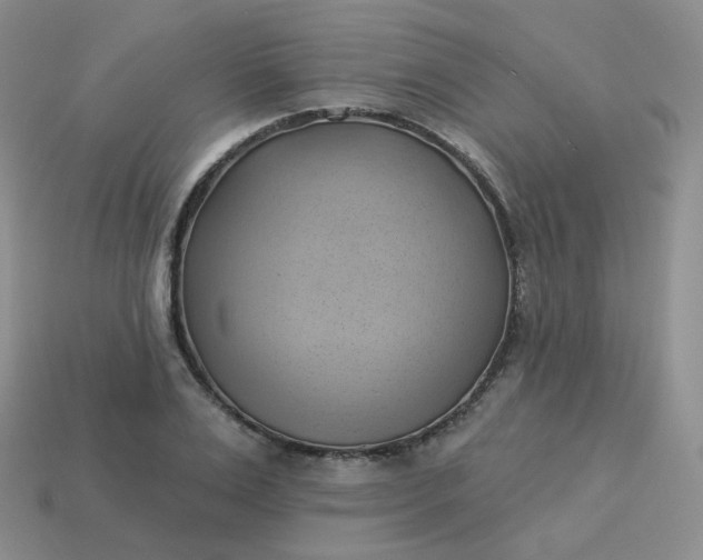 X0000114020983200910161752