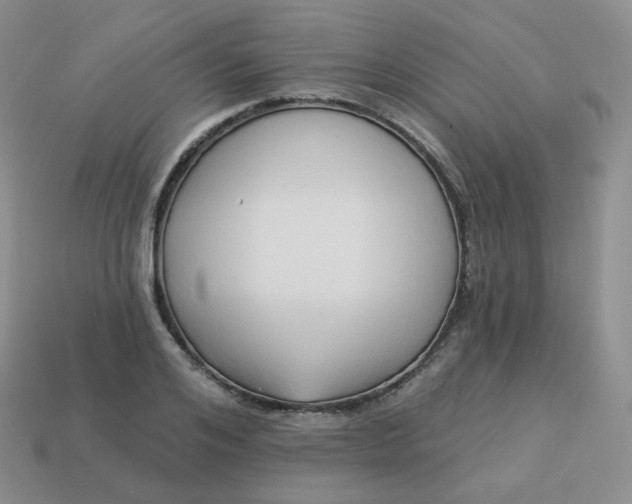 X0000114020984200910161752