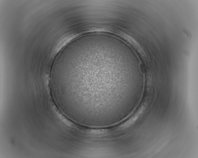 X0000114020985200910161752