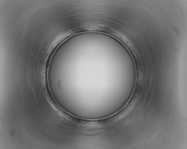 X0000114020986200910161752