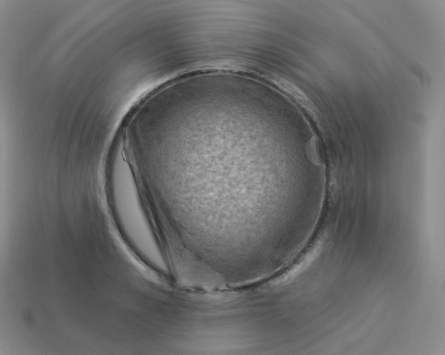 X0000114020989200910161752