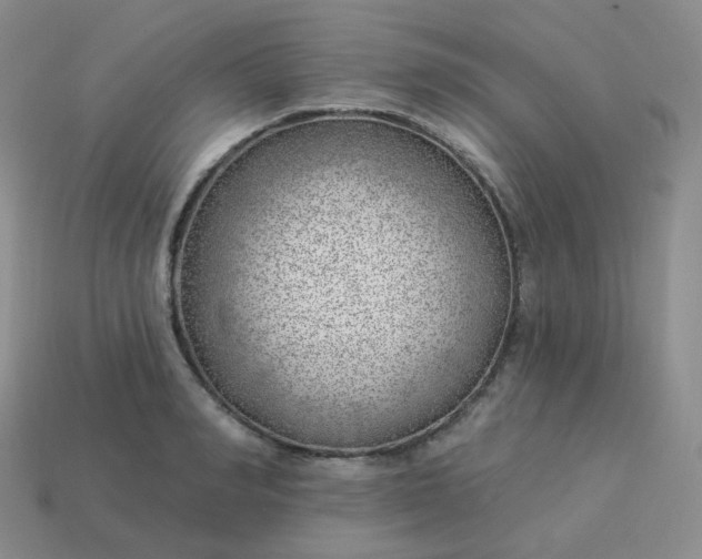 X0000114020990200910161752