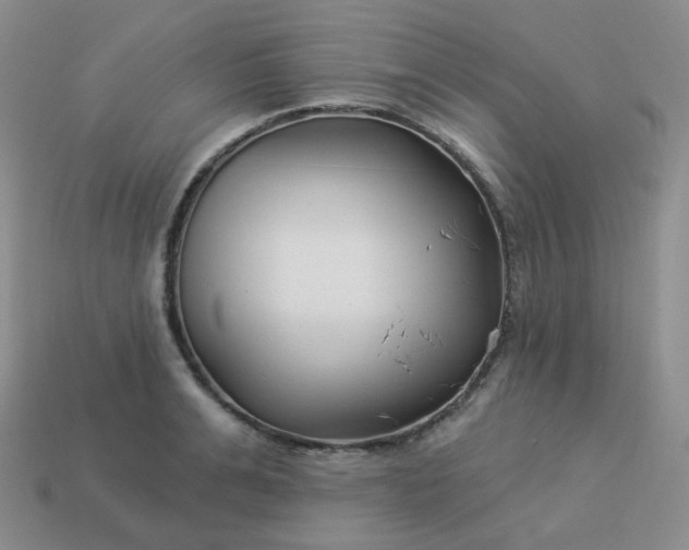 X0000114020991200910161752