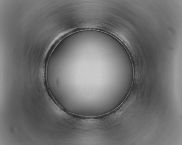 X0000114020992200910161752