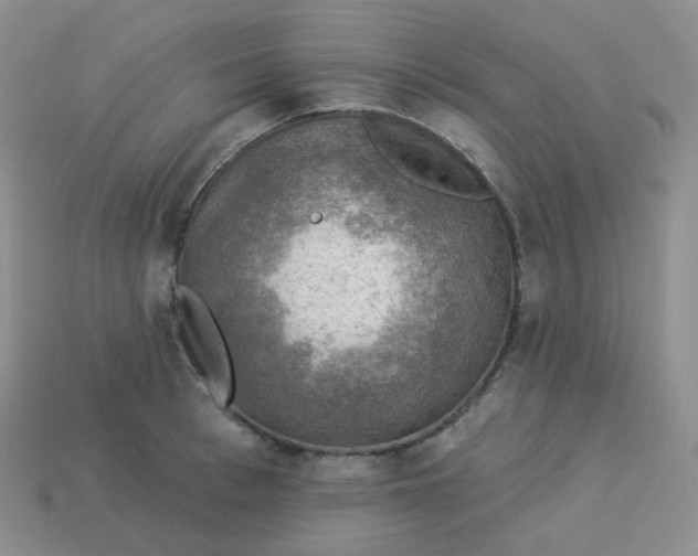 X0000114020993200910161752