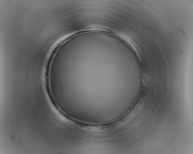 X0000114020995200910161752