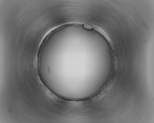 X0000114020996200910161752