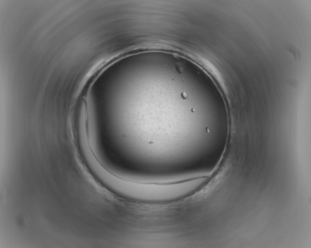 X0000114020997200910161752