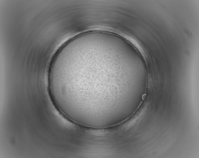 X0000114020999200910161752