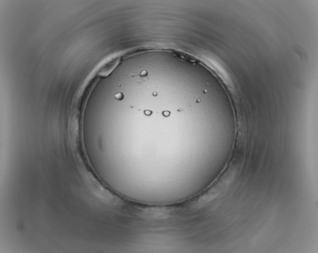 X0000114021000200910161752