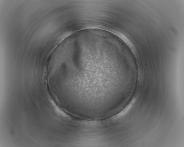 X0000114021001200910161752