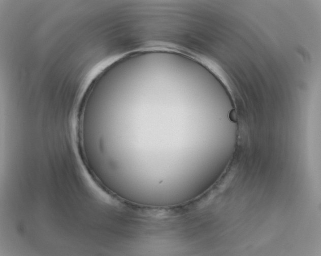 X0000114021003200910161752