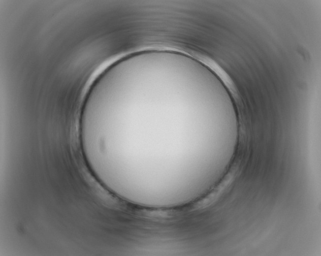 X0000114021004200910161752