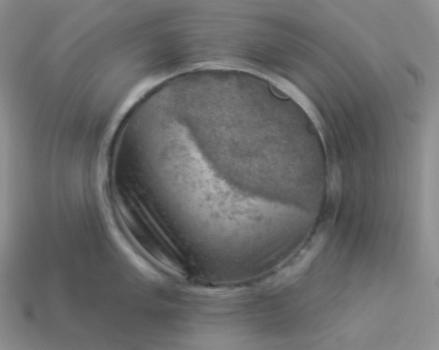 X0000114021005200910161752