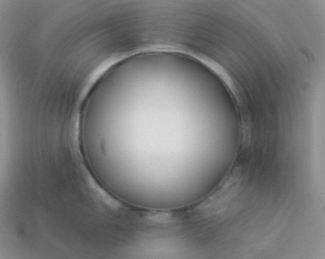 X0000114021006200910161752