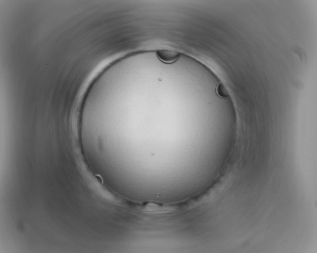 X0000114021008200910161752