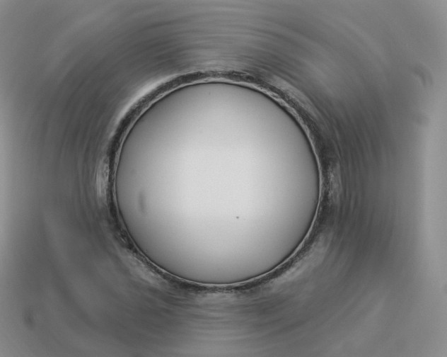 X0000114021021200910161751