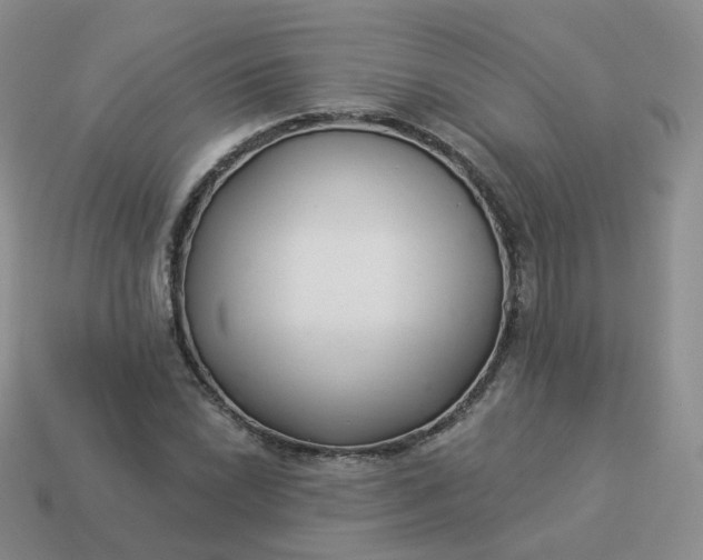 X0000114021022200910161751