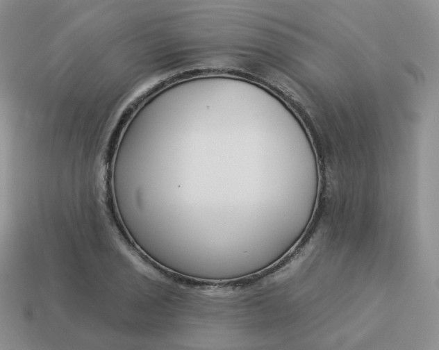 X0000114021029200910161752