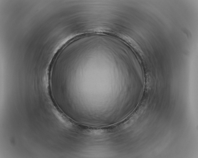 X0000114021031200910161752