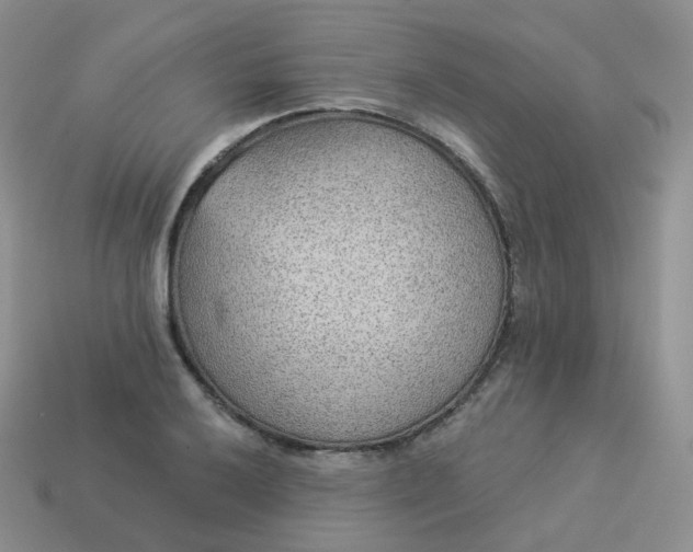 X0000114021032200910161752