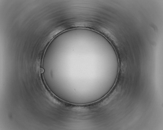 X0000114021033200910161752