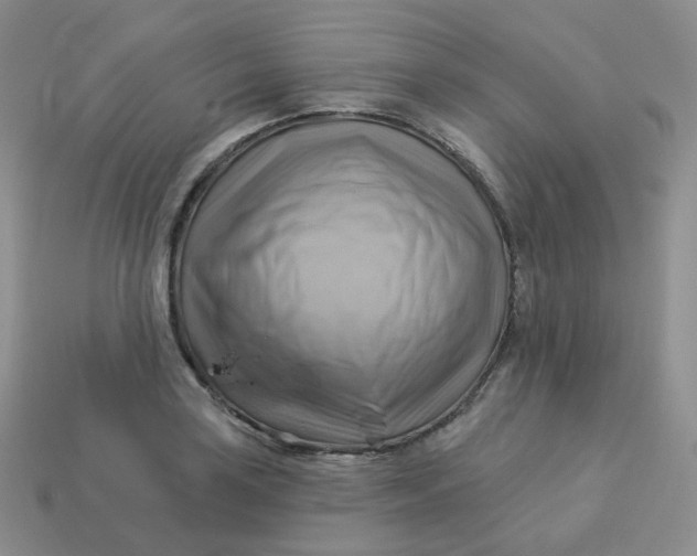 X0000114021035200910161752