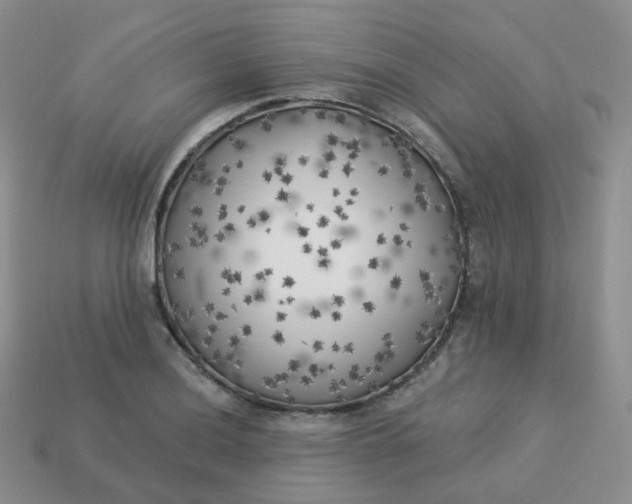 X0000114021036200910161752