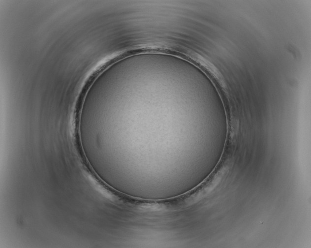 X0000114021037200910161752