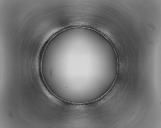 X0000114021038200910161752