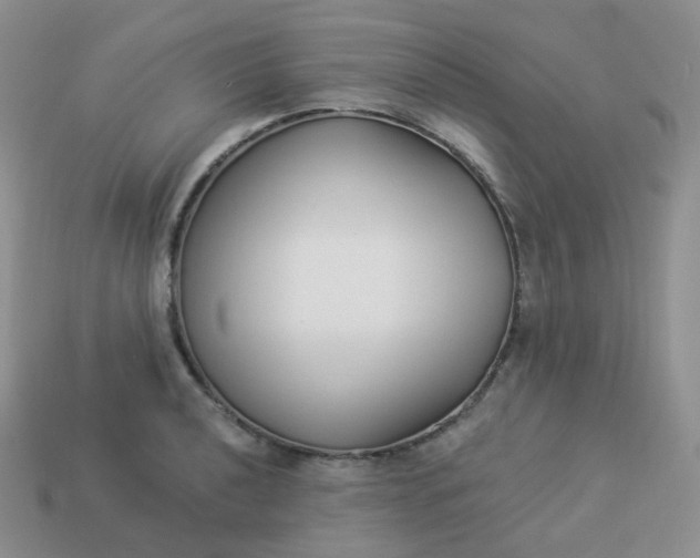 X0000114021040200910161752