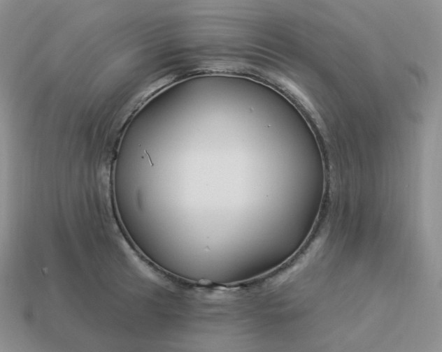 X0000114021041200910161752