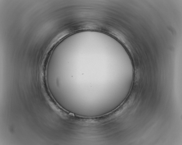 X0000114021042200910161752