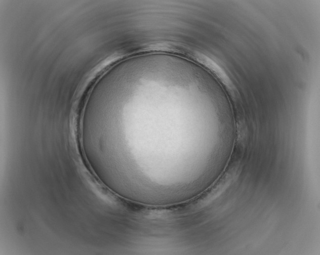 X0000114021043200910161752