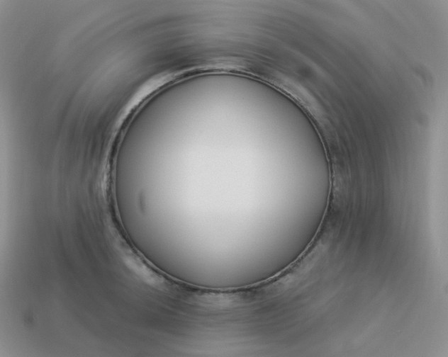 X0000114021044200910161752